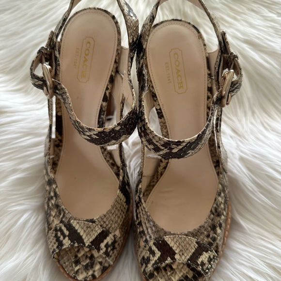 COACH snakeskin leather chunky wooden heel sandal. Size 8.5 - Picture 3 of 5